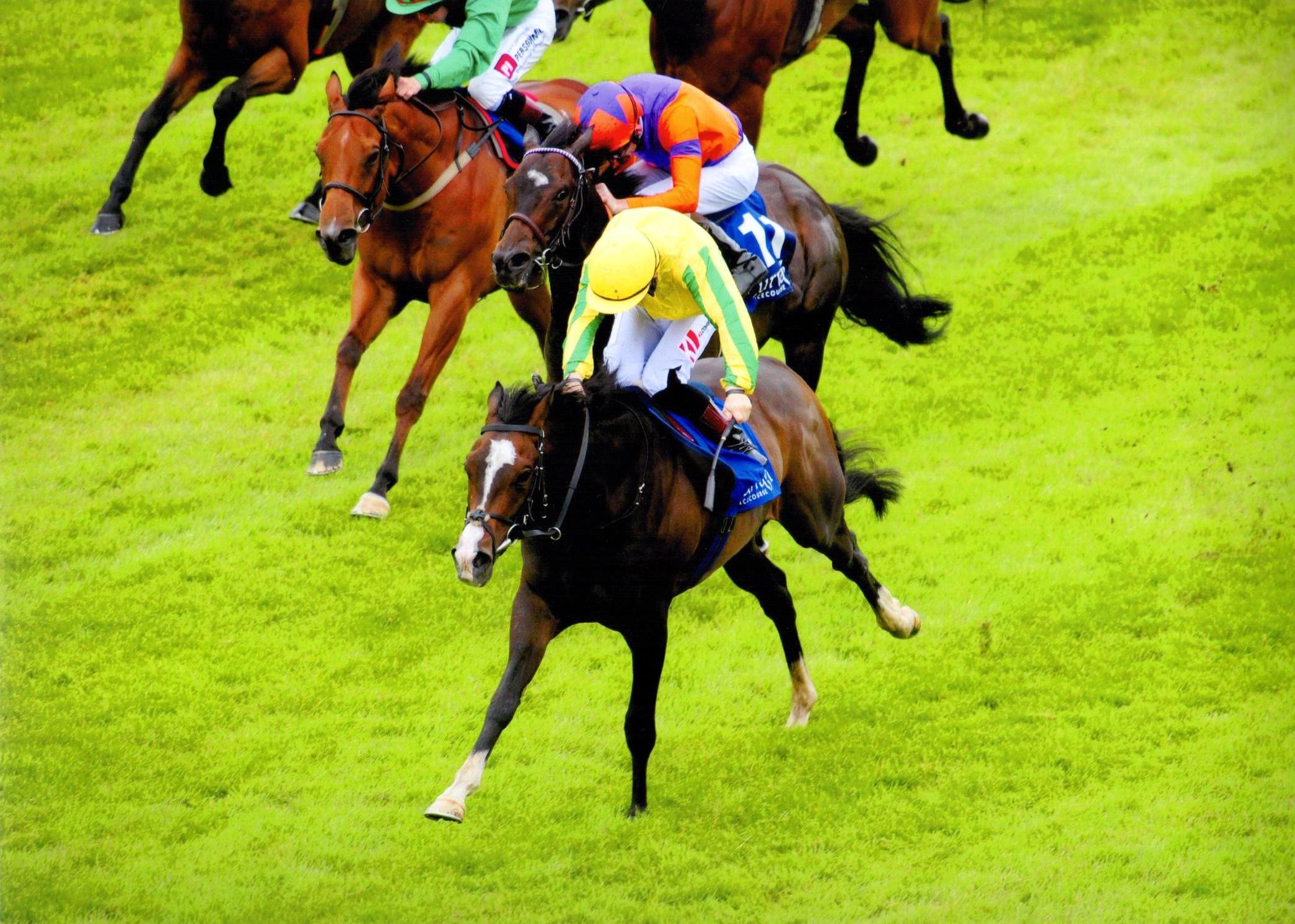 SEA WOLF strikes on his first start in Ireland for Ger and owner David Spratt 26.06.16
